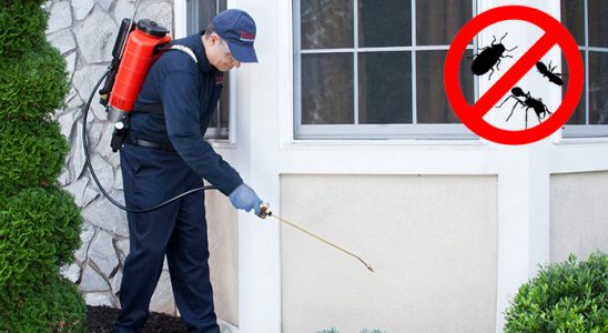 Yıkıkkemer Kene İlaçlama böcek ilaçlama ve haşere kontrolü — ilaclama-tr.com